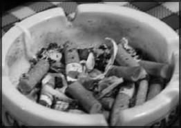 Tu fume hein salope !